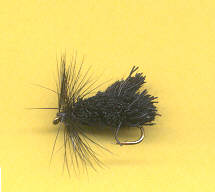 sedge noir