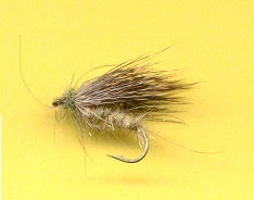 sedge chevreuil naturel