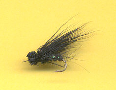 sedge chevreuil noir