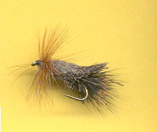 sedge en poils